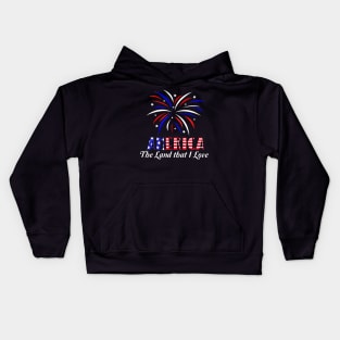 AMERICA Fourth of July Fireworks Kids Hoodie